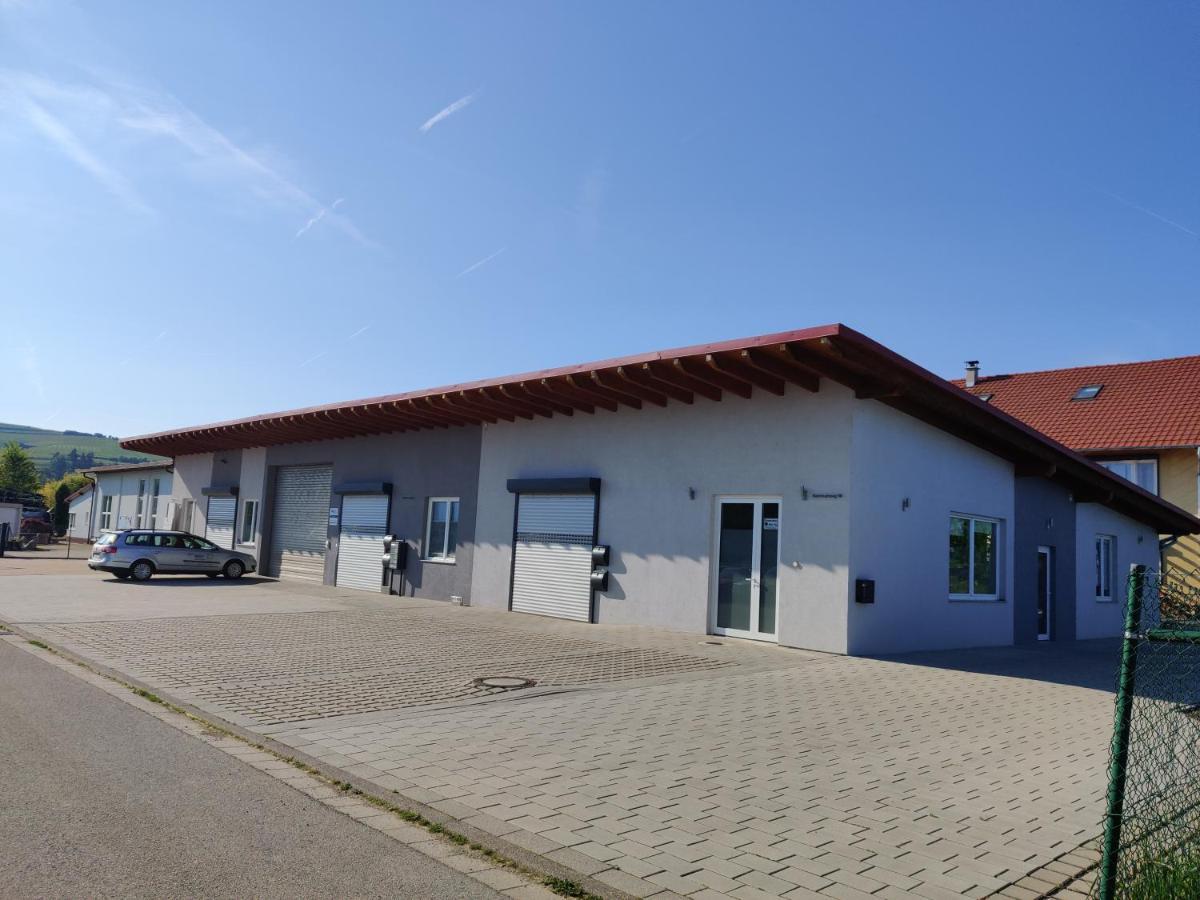 Ebenerdig Mit Terrasse & Garten, Wlan & Parkplatz! Self Check-In & Check-Out! Schwedenofen! Appartement Auggen Buitenkant foto